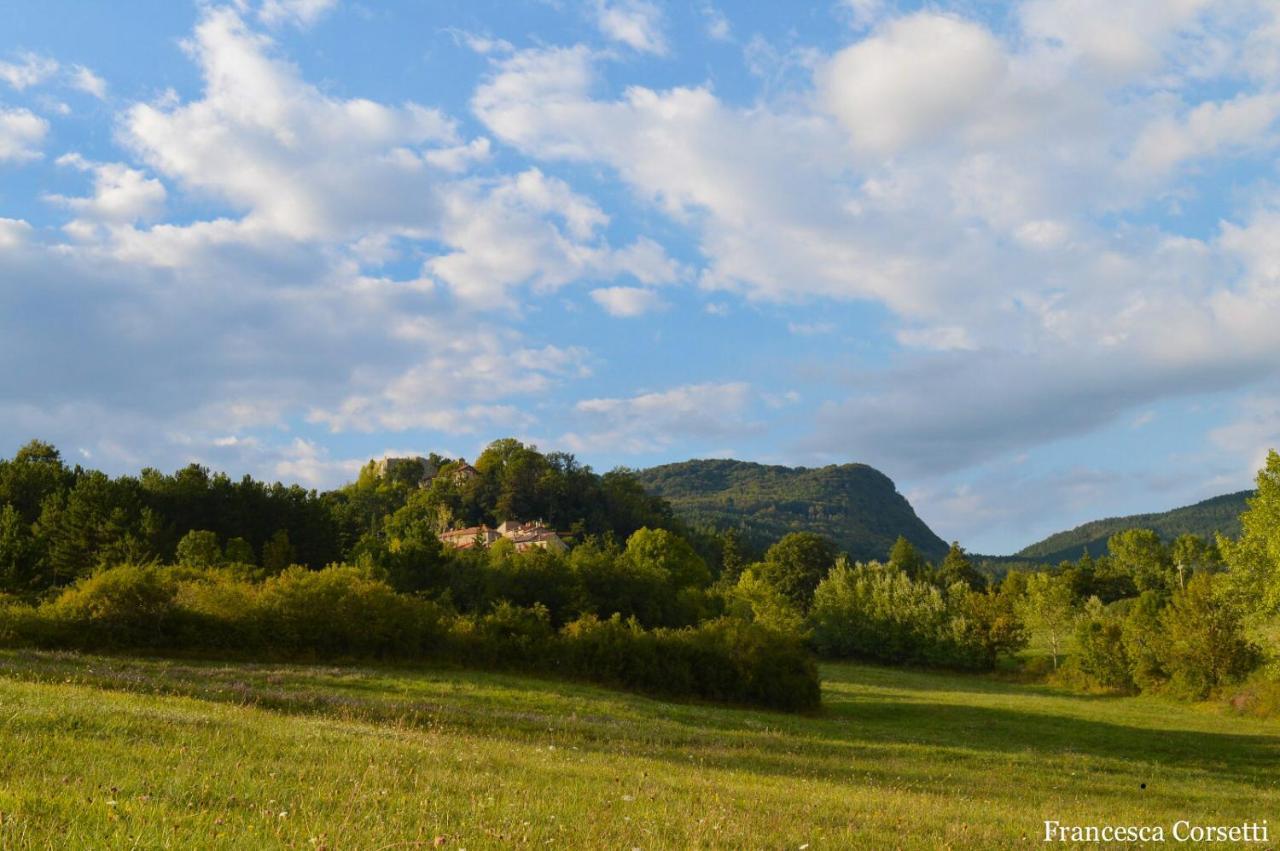 Agriturismo Vezzano Chiusi della Verna Exterior photo