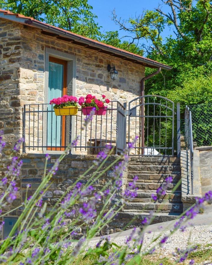 Agriturismo Vezzano Chiusi della Verna Exterior photo
