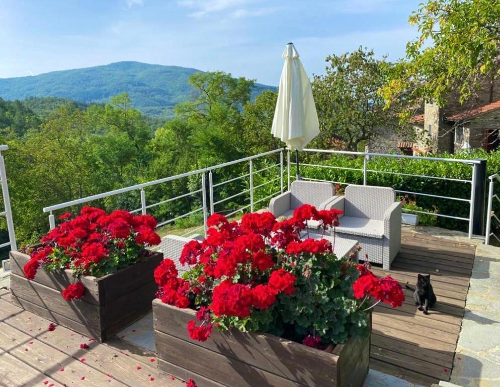 Agriturismo Vezzano Chiusi della Verna Exterior photo